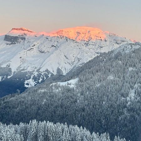 Apartmán Samoens 1600 Les Cimes Exteriér fotografie